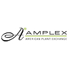 About Amplex