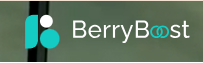 BerryBoost