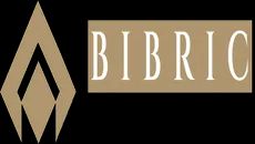 Bibric - The Law Teacher