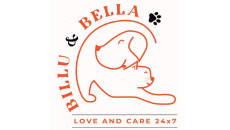 Billu And Bella Pet Toys Shop In Dwarka