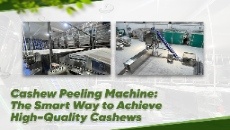 Cashew Peeling Machine The Smart Way To Achieve High Quality Cashews