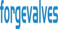 China Forged Valves Co Ltd
