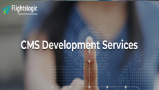 CMS Development Services