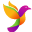 colorist logo