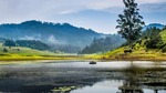 Corporate Team Outing In Kodiakanal