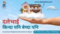 DALEY BHAI REAL ESTATE COMPANY
