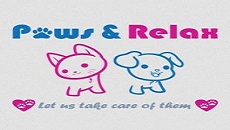 Dog Shop Near Me | Paws & Relax