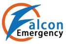 FALC Emergency Air Ambulance Service in Delhi provides Qualified Crew on its Trains