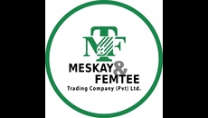 Meskay And Femtee Trading Company Pvt Ltd