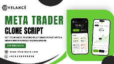 MetaTrader Clone Script -Enter the Online Trading Market Fast
