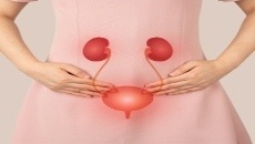 Nephrologist In Vijayawada Best Nephrologist In Vijayawada