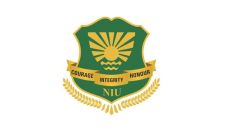 Noida International University