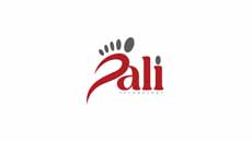 Pali Technology Pvt Ltd