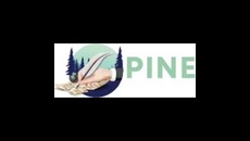 Pine Book Writing