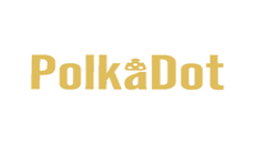 polkadotstore