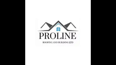 prolineroofing