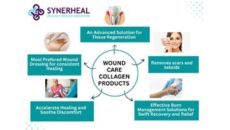 Synerheal Collagen Wound Care Products: Advanced Solutions for Tissue Regeneration and Healing