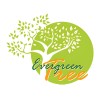 The evergreen