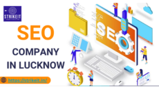 Top Seo Company In Lucknow Strikeit