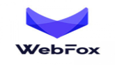 Webfox.Dev