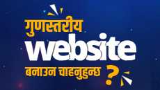 Website Design in Nepal - MegaSoft