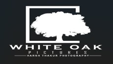 White Oak Pictures